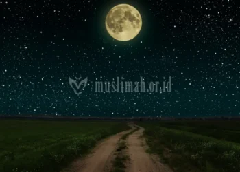 Aku Beriman Kepada Allah