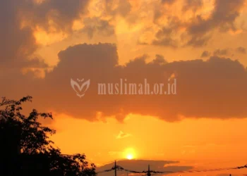 Beriman Kepada Malaikat