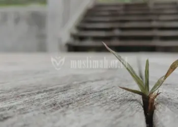 Jangan Menyerah Saudariku