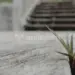 Jangan Menyerah Saudariku