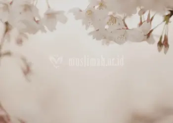 Kedudukan Wanita Dalam Islam