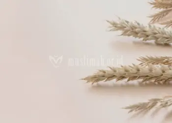Bukan mahram bagi wanita