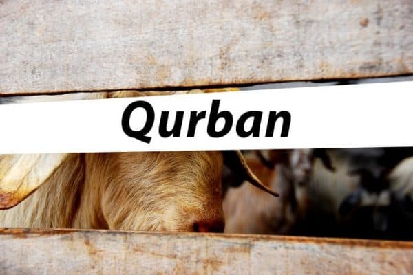 Kumpulan Artikel Idul Adha Dan Qurban Di Muslimah.Or.Id