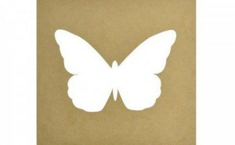 Cadar Butterfly?