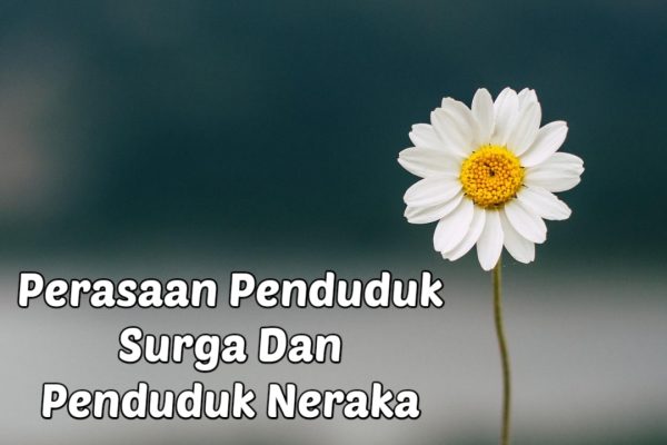 Perasaan Penduduk Surga Dan Penduduk Neraka