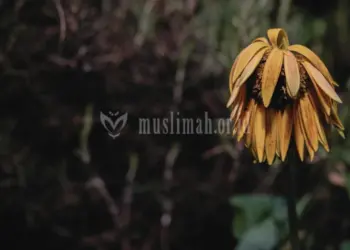 Merasa hina