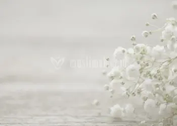 Saat Istri Berhenti Menua Sampai Tua