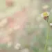 Teman duduk yang baik