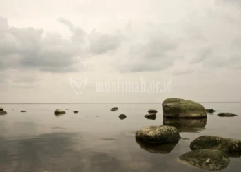 Ketauhidan sesuai dengan fitrah manusia